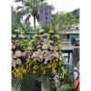 B款羅馬柱花禮(館內羅馬柱館外高架花籃)-出貨照片