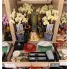 靈前桌上型蘭花-台北(殯儀館內及會館)-出貨照片