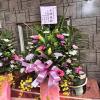 高架花籃18-出貨照片
