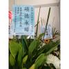 追思/哀悼/悼念/告別式高架花籃-出貨照片
