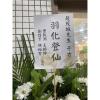 高架花籃(限殯儀館告別式)-出貨照片