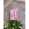高架花籃(限殯儀館告別式)無法指定款式隨機出貨-出貨照片