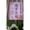 高架花籃(限殯儀館告別式)無法指定款式隨機出貨-出貨照片
