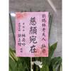 典雅高架花籃(A款)(限殯儀館/會館 告別式)-出貨照片
