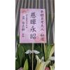 高架花籃(限殯儀館告別式)-出貨照片