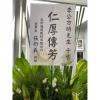 B款高架花籃(無法指定款式)-出貨照片