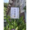 A款高架花籃(限殯儀館告別式/ 無法指定款式)-出貨照片