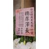 C款典雅蘭花高架花籃(無法指定款式)-出貨照片