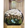 (出租)日式圓框蘭花(白)限殯儀館內-出貨照片