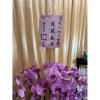 9株蘭花(粉)-出貨照片