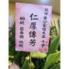D款追思羅馬柱（限殯儀館）館外改高腳鐵架-出貨照片