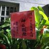 吉事高架花籃E款-出貨照片