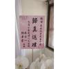 7株蘭花盆景(白)-出貨照片