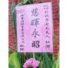 悼念高架花藍A03-出貨照片