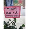 竹柏藝術造型造景盆栽-出貨照片