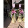 典雅高架花藍01-出貨照片