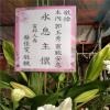 K04款典雅高架藝術花籃 (新城,秀林)-出貨照片