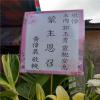 K04款典雅高架藝術花籃 (新城,秀林)-出貨照片