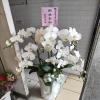 典雅六株蘭花盆(白)-出貨照片