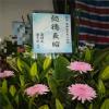 追思藝術花籃-出貨照片
