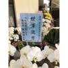9株蘭花盆景(白)-出貨照片