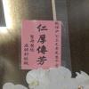8株蘭花(白)-出貨照片