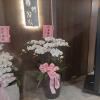 8株蘭花(白)-出貨照片
