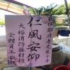 9株蘭花(粉)-出貨照片