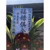 A06悼念高架花藍-出貨照片