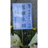 高架花籃-基隆-04-出貨照片