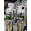 璀璨星空蘭花-高架型(限館內/白色買斷 / 底座需回收)-出貨照片
