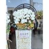 日式圓框蘭花 (白色或粉色蘭花買斷/限館外/圓框底座需回收)-出貨照片