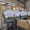 出租白色蘭花(限館內告別式會場)-出貨照片