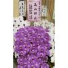 7株蘭花-出貨照片