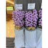 粉色出租蘭花(限殯儀館內告別式單場)-出貨照片