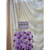 粉色出租蘭花(限殯儀館內告別式單場)-出貨照片