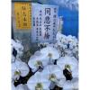 5株落地蘭花(白色)-出貨照片