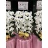 白色出租蘭花(限殯儀館內告別式單場)-出貨照片