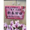 6株桌上型蘭花(粉色)-出貨照片