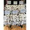 白色出租蘭花(限殯儀館內告別式單場)基殯、桃殯、中壢殯-出貨照片