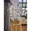 白色出租蘭花(限殯儀館內告別式單場)-出貨照片
