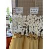 白色出租蘭花(限殯儀館內告別式單場)基殯、桃殯、中壢殯-出貨照片
