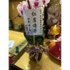 靈桌小蘭花-出貨照片