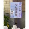 5株落地蘭花(白色)-出貨照片