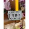 3株桌上型蘭花(白色)-出貨照片