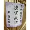 5株落地蘭花(粉色)-出貨照片