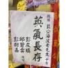 6株落地蘭花(白色)-出貨照片