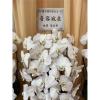 白色出租蘭花(限殯儀館內告別式單場)基殯、桃殯、中壢殯-出貨照片