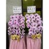 粉色出租蘭花(限殯儀館內告別式單場)基殯、桃殯、中壢殯-出貨照片