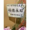 3株桌上型蘭花(白粉色)-出貨照片